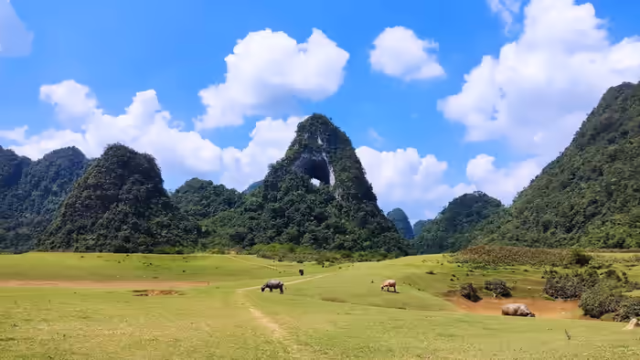 What Does Northern Vietnam Have to Offer? Ha Giang – Cao Bang – Bac Kan